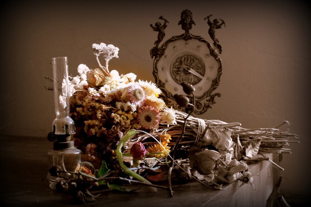 Photograph by Lucia K