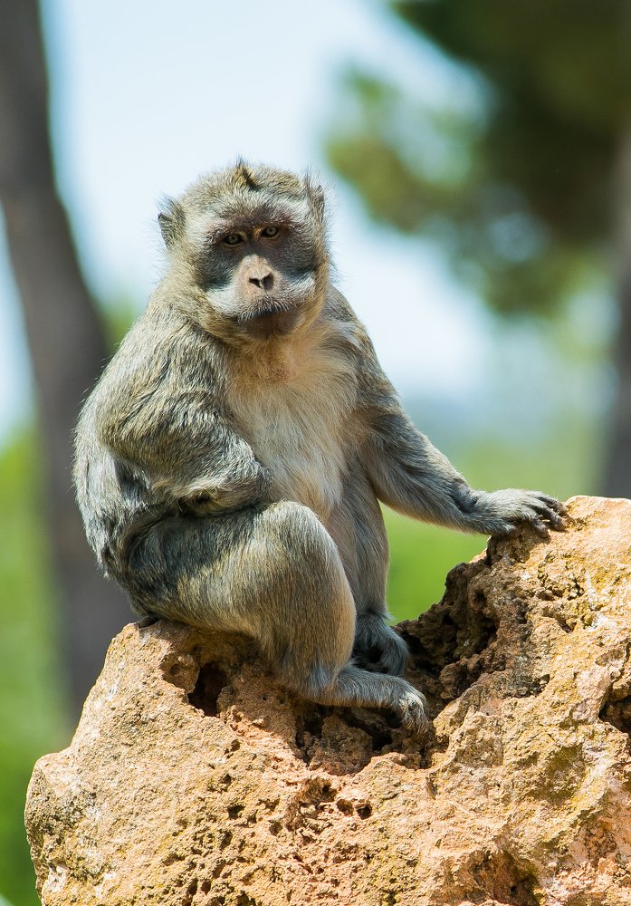 Photograph by Анастасия Ломаева