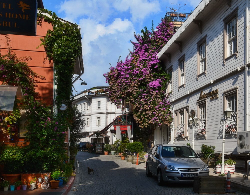 Photograph by Александр Соловьев