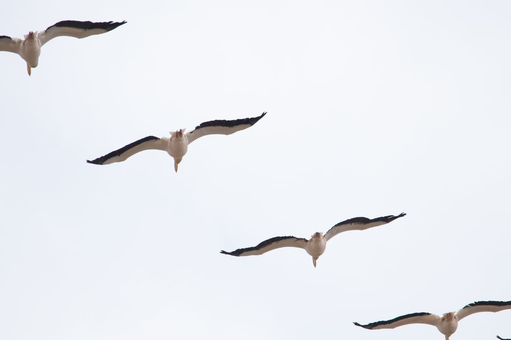 Photograph by Цветков Сергей