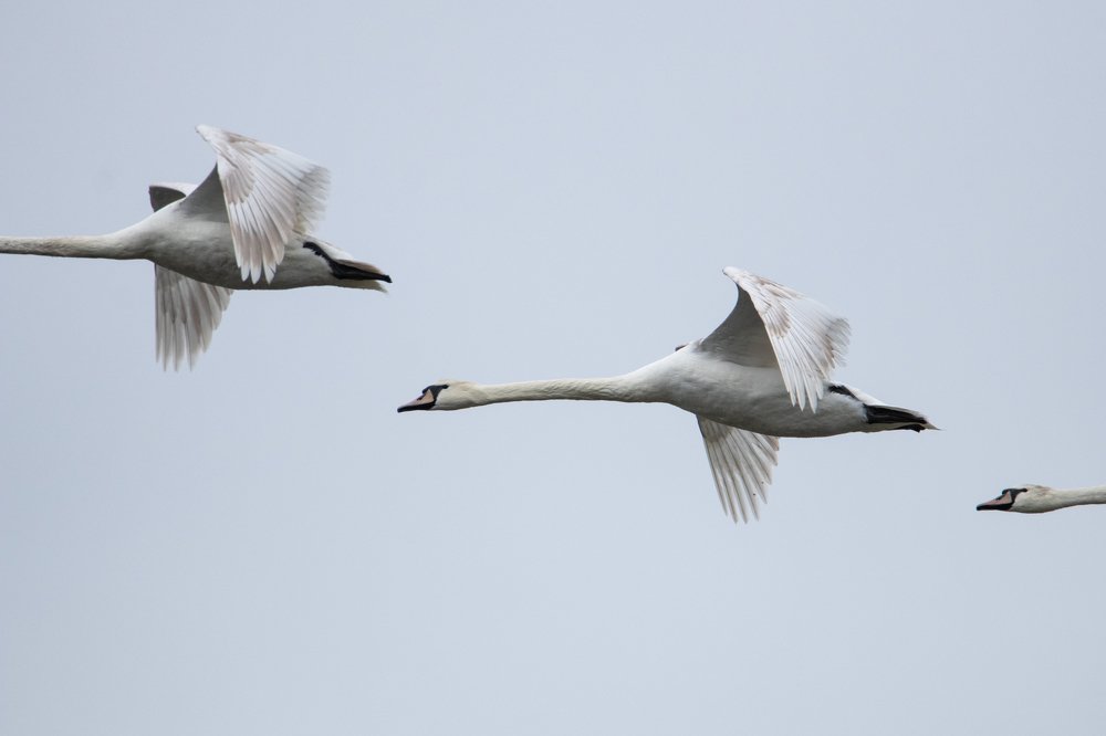 Photograph by Цветков Сергей