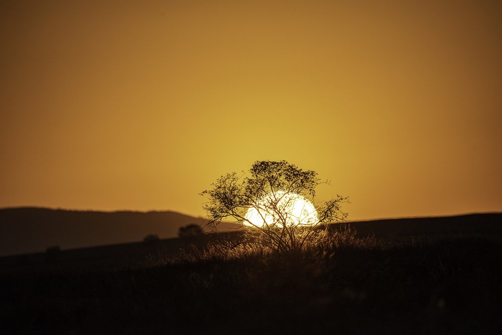 Photograph by Otar Tagviashvili