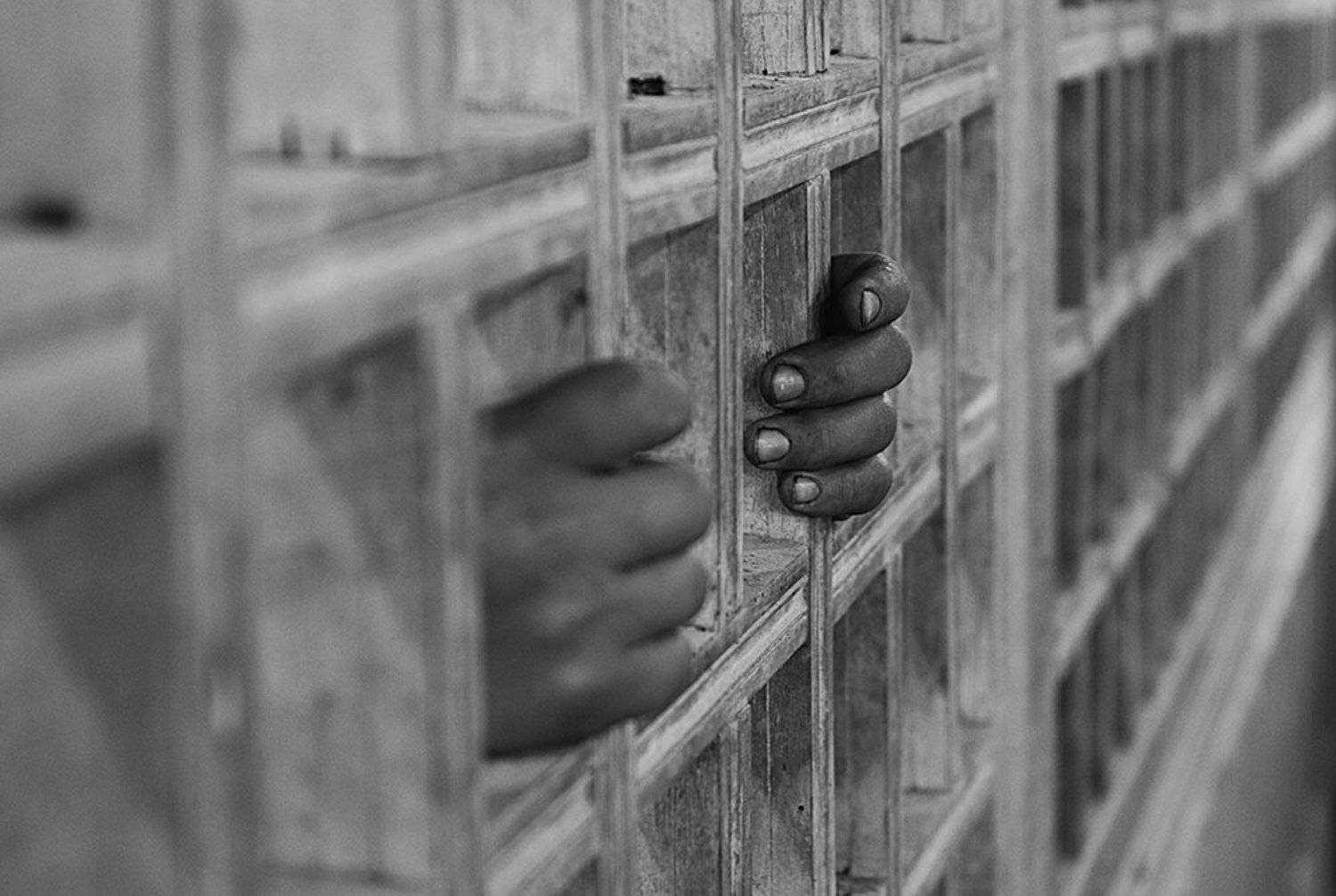 Фотография #4030804