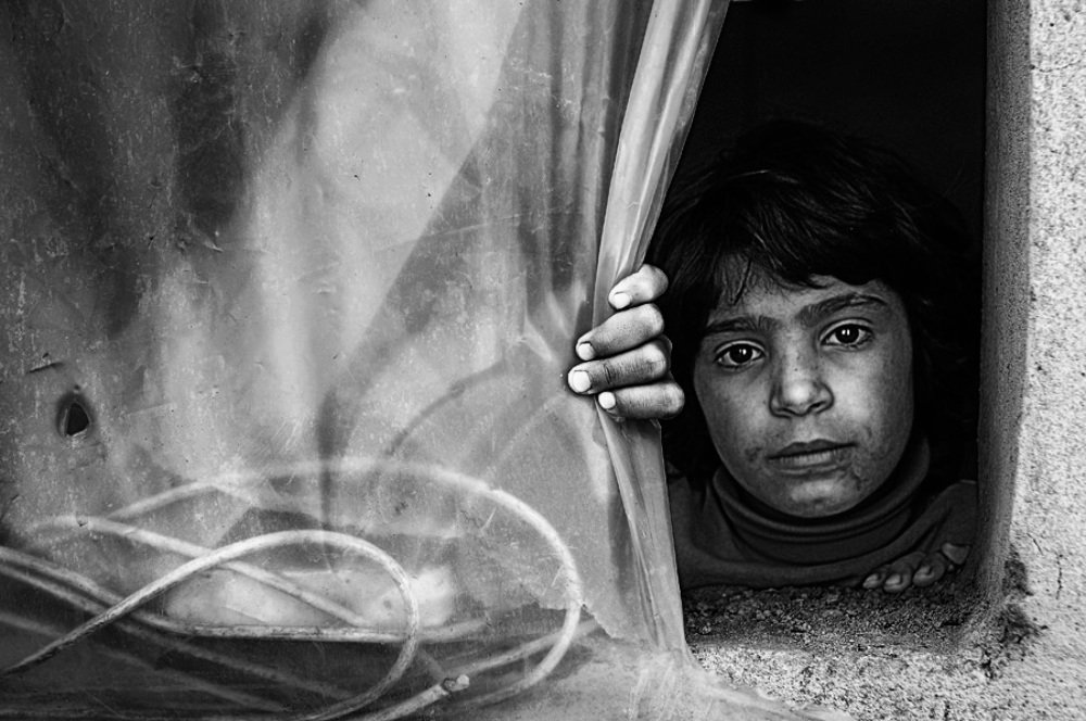 Фотография автора AYLIN EROZCAN