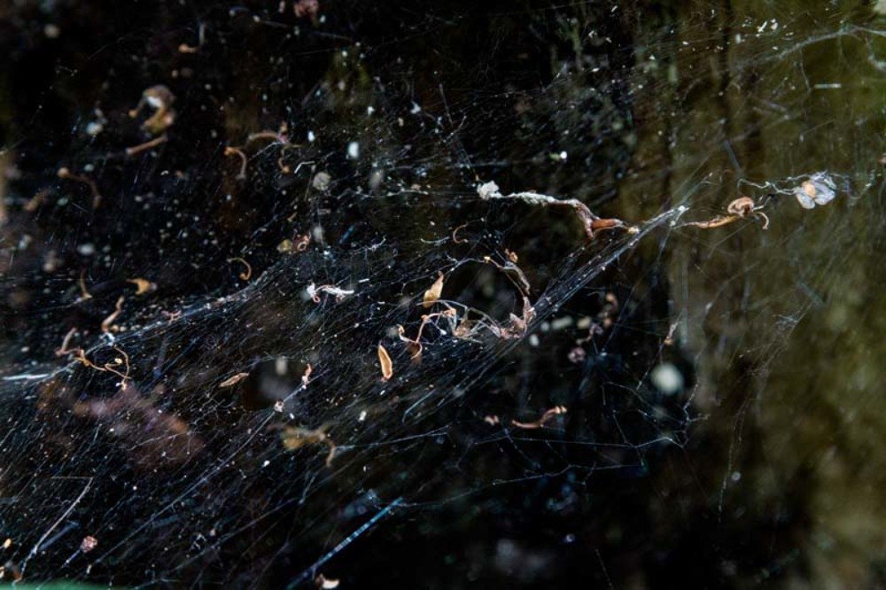 Photograph by Андрей Кульков