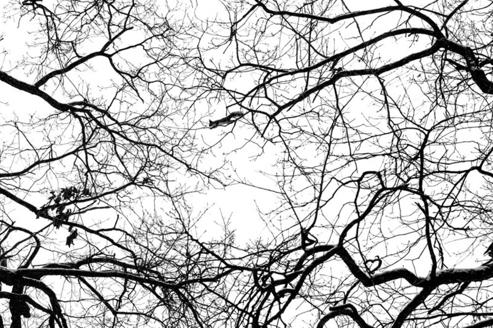 Photograph by Андрей Кульков