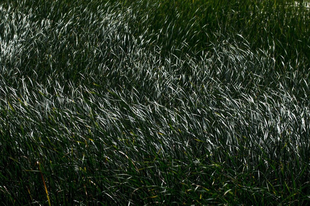 Photograph by Андрей Кульков