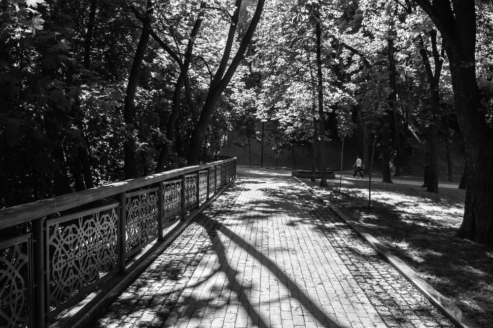 Photograph by Елена Боржковская