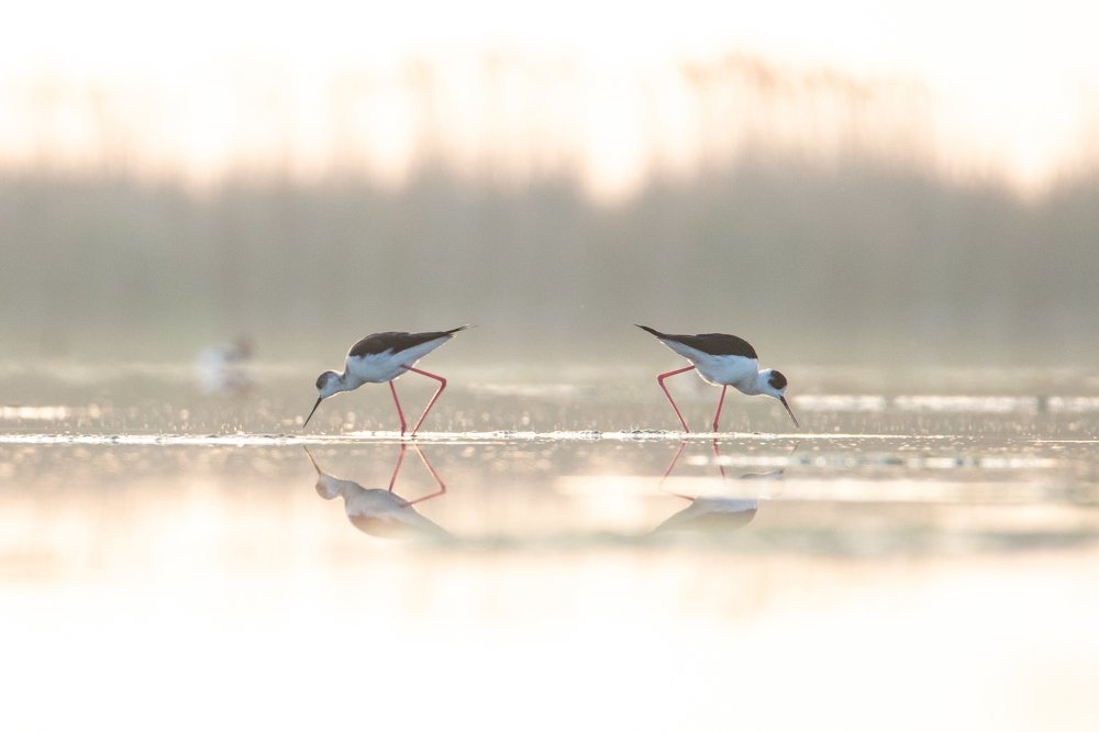 Photograph by Цветков Сергей