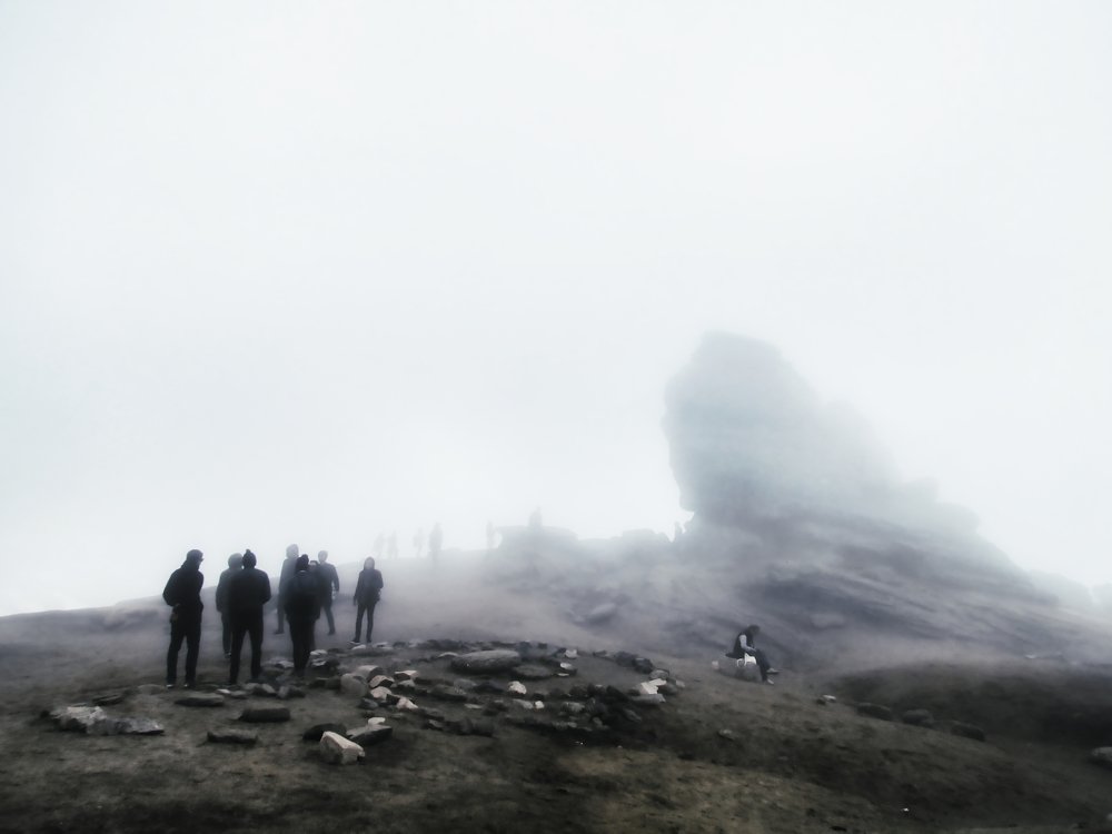 Photo #4031126