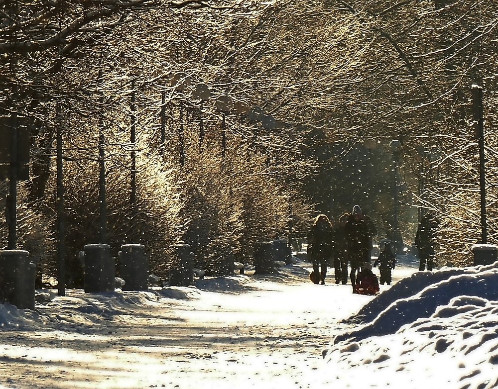 Photograph by Наталья