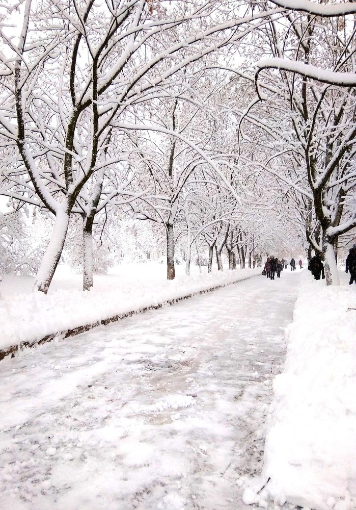 Зимняя тропа