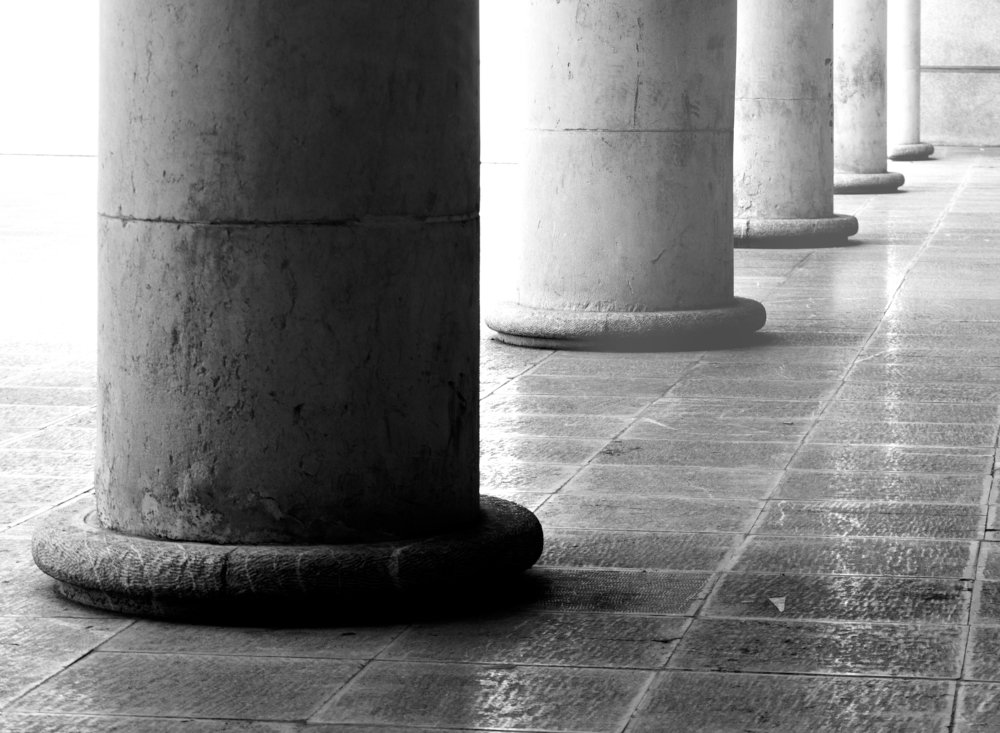 Photograph by Elahe Forghani