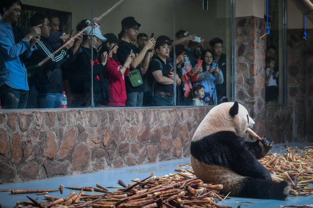 Photograph by Марсель Бадыкшин
