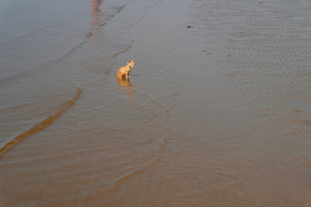 Photograph by Ольга Ситникова