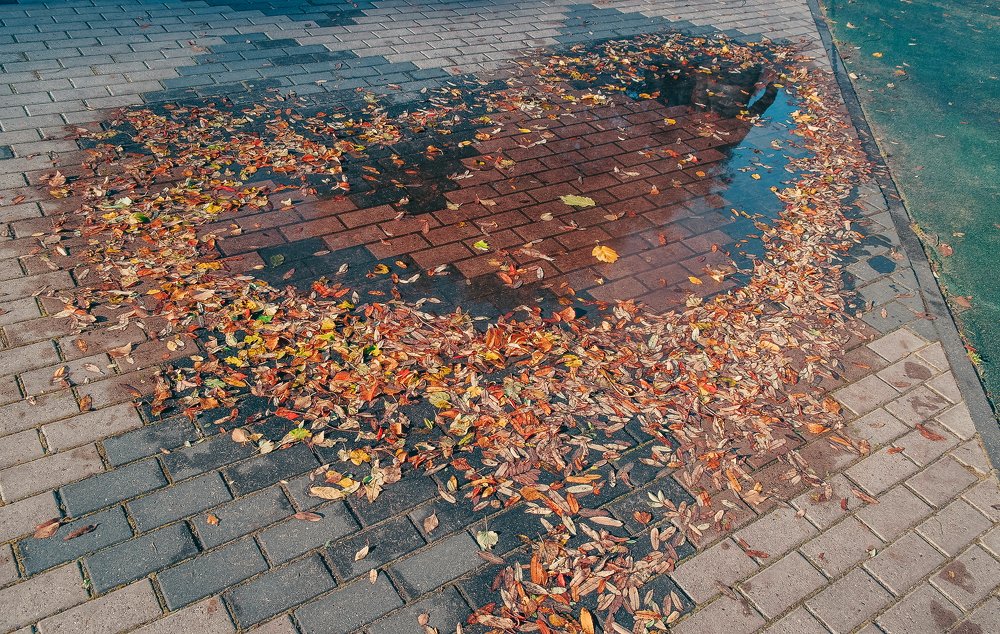 Photograph by Ольга Ситникова