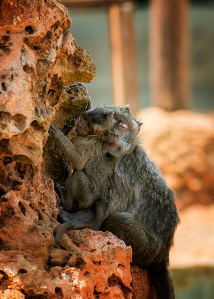 Photograph by Анастасия Ломаева