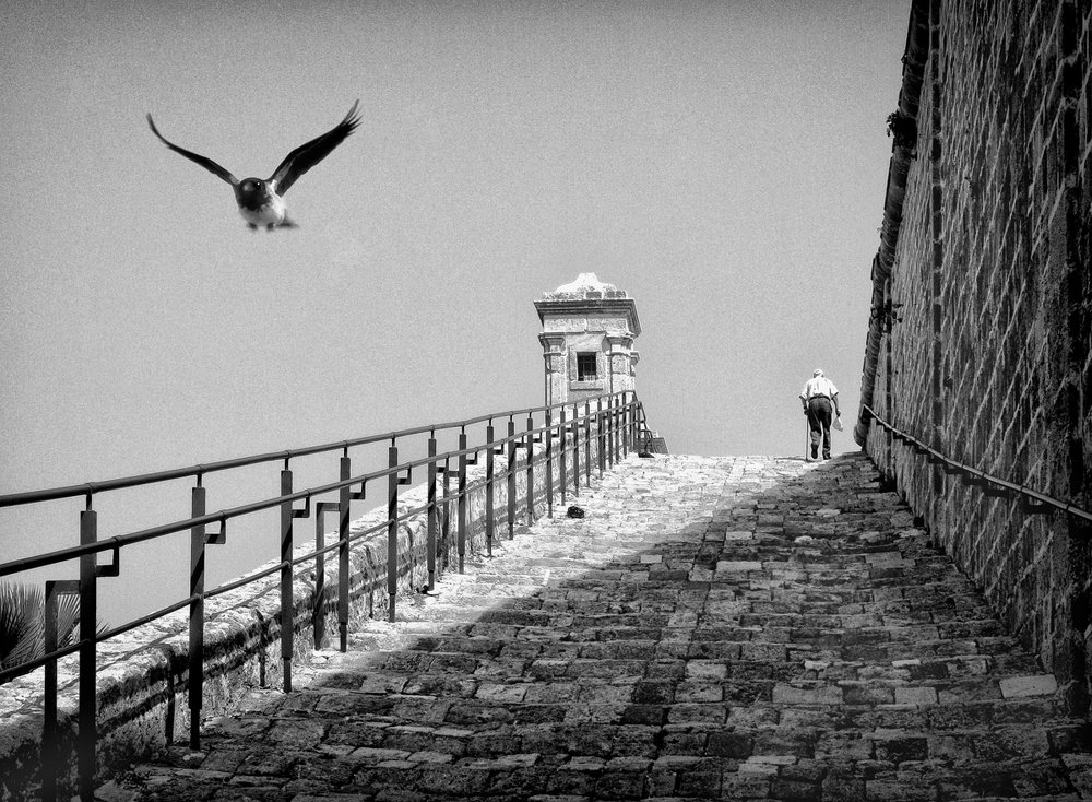 Photograph by yakov stavchansky