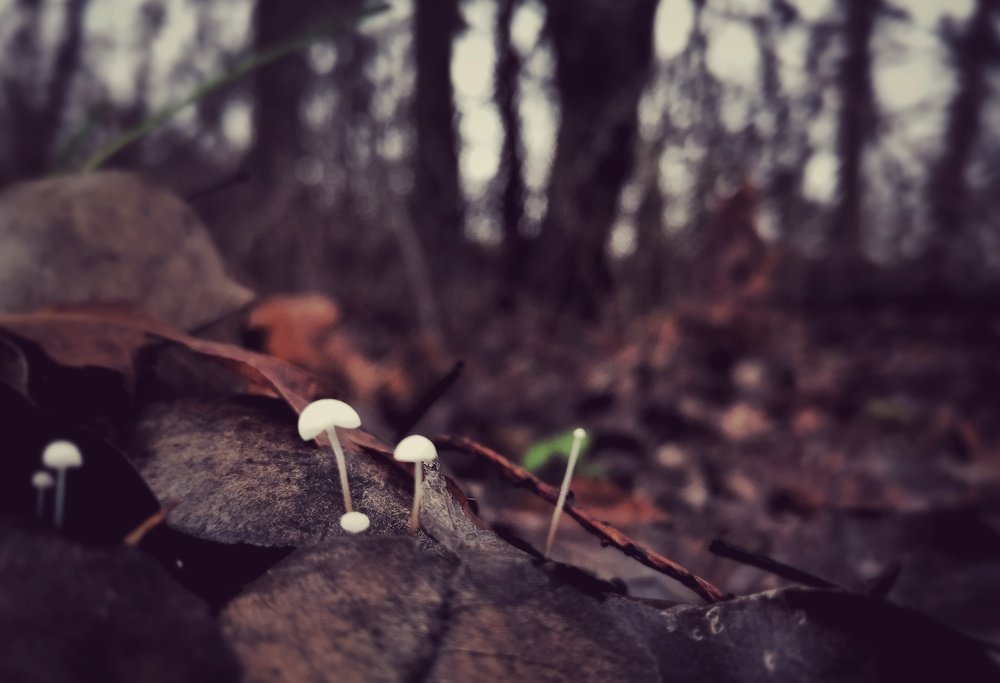 Photograph by ALEKSEI BABANIN