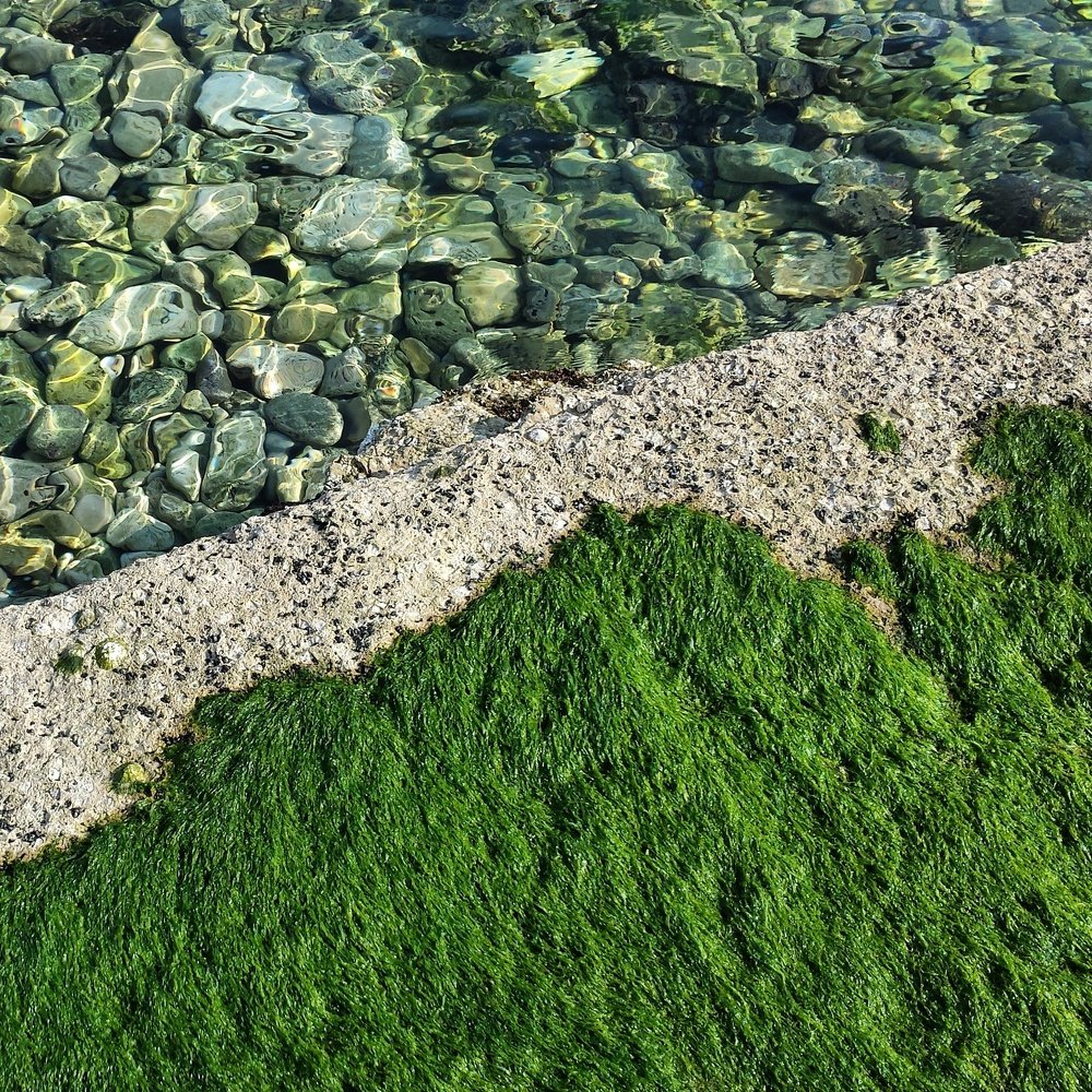 Photograph by Maja Strgar Kurecic