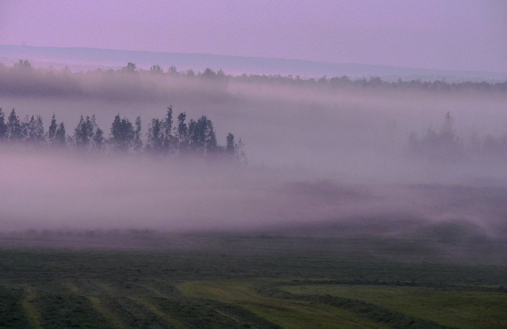 Волшебная белая ночь.