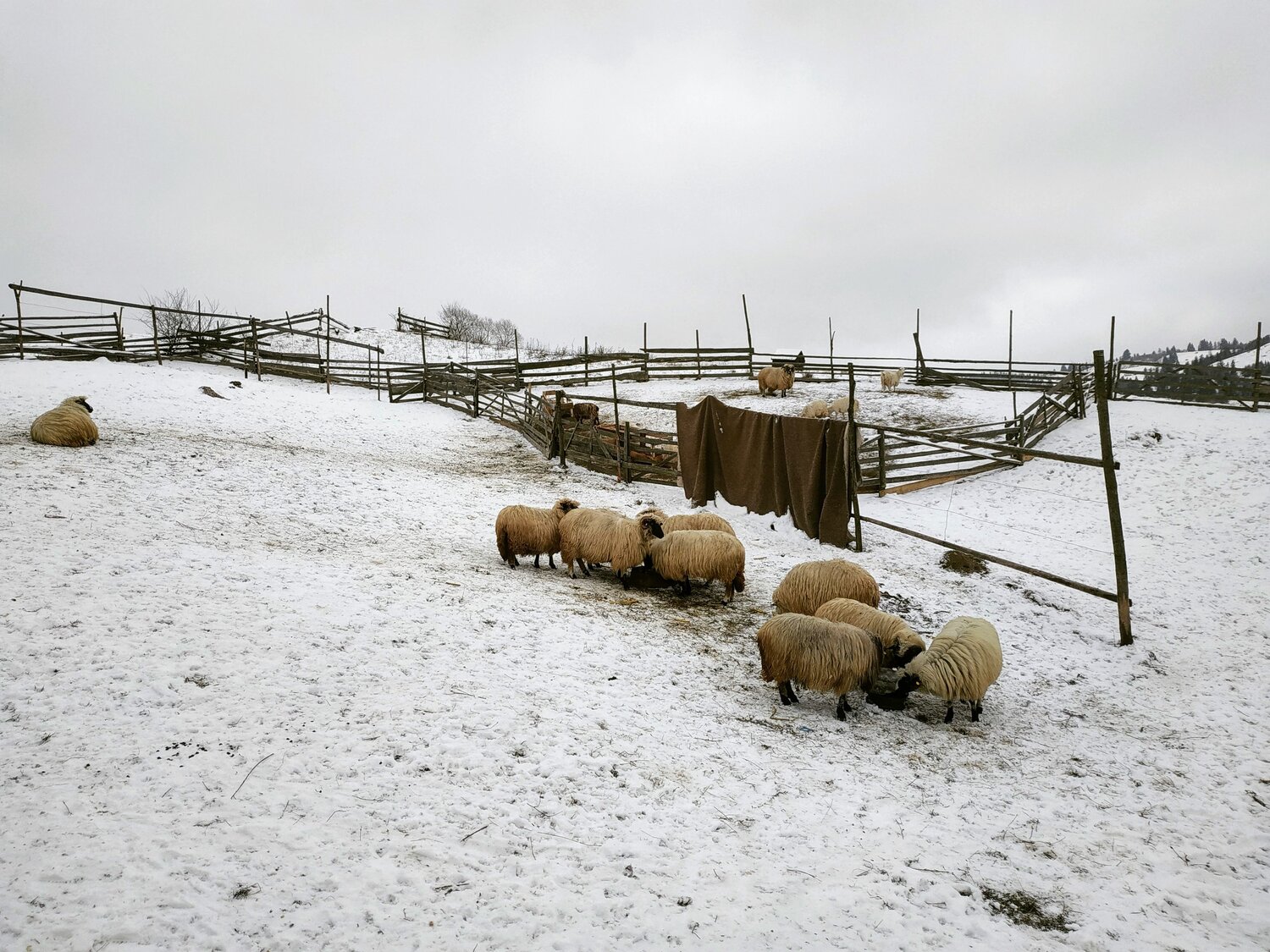 The first snow in December