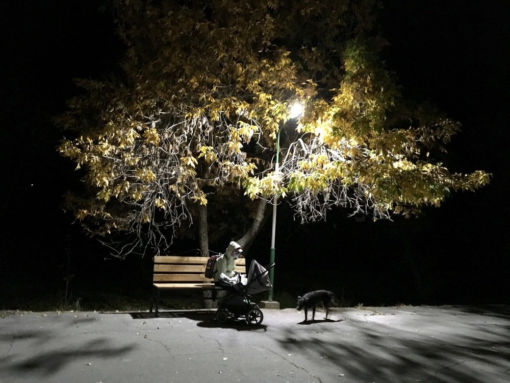 Photograph by Елена Ким