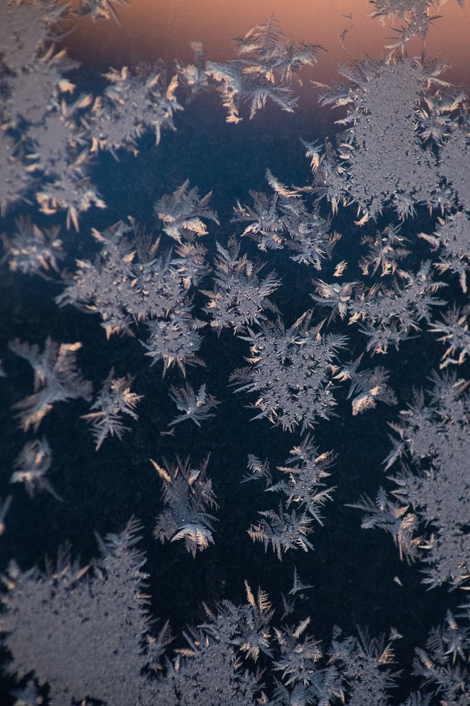 Morning ice on the window