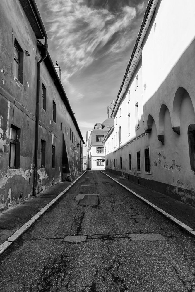 Фотография автора Josef Nový