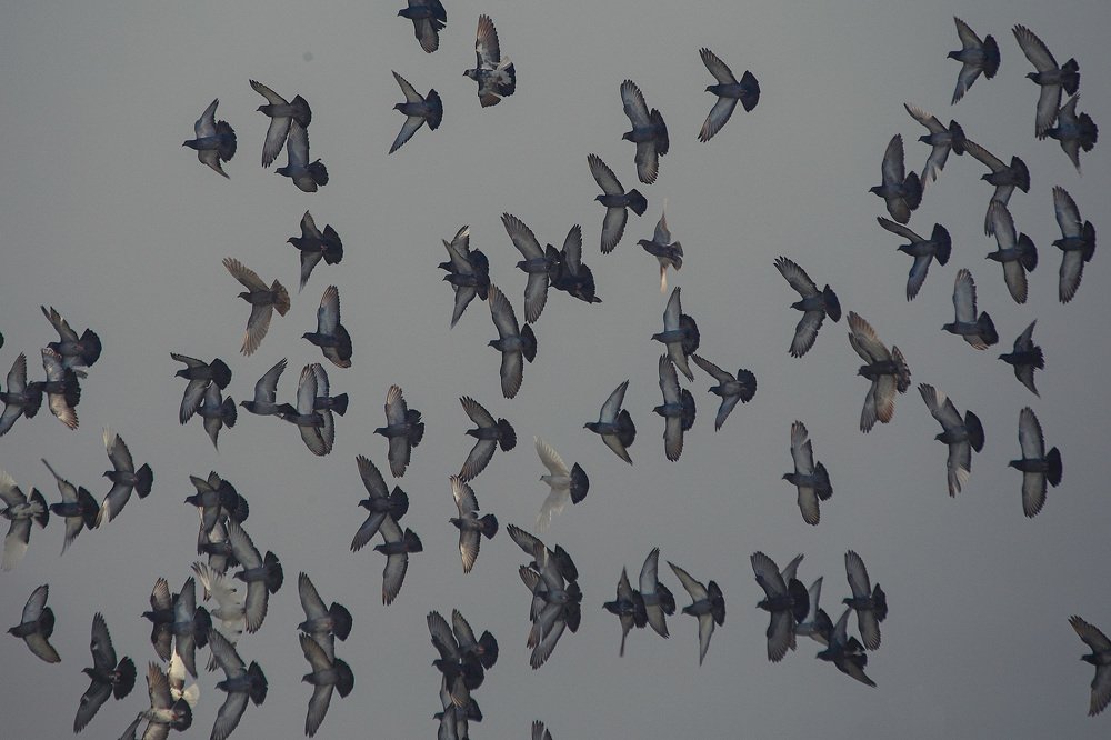 Photograph by Andrey Matveenko