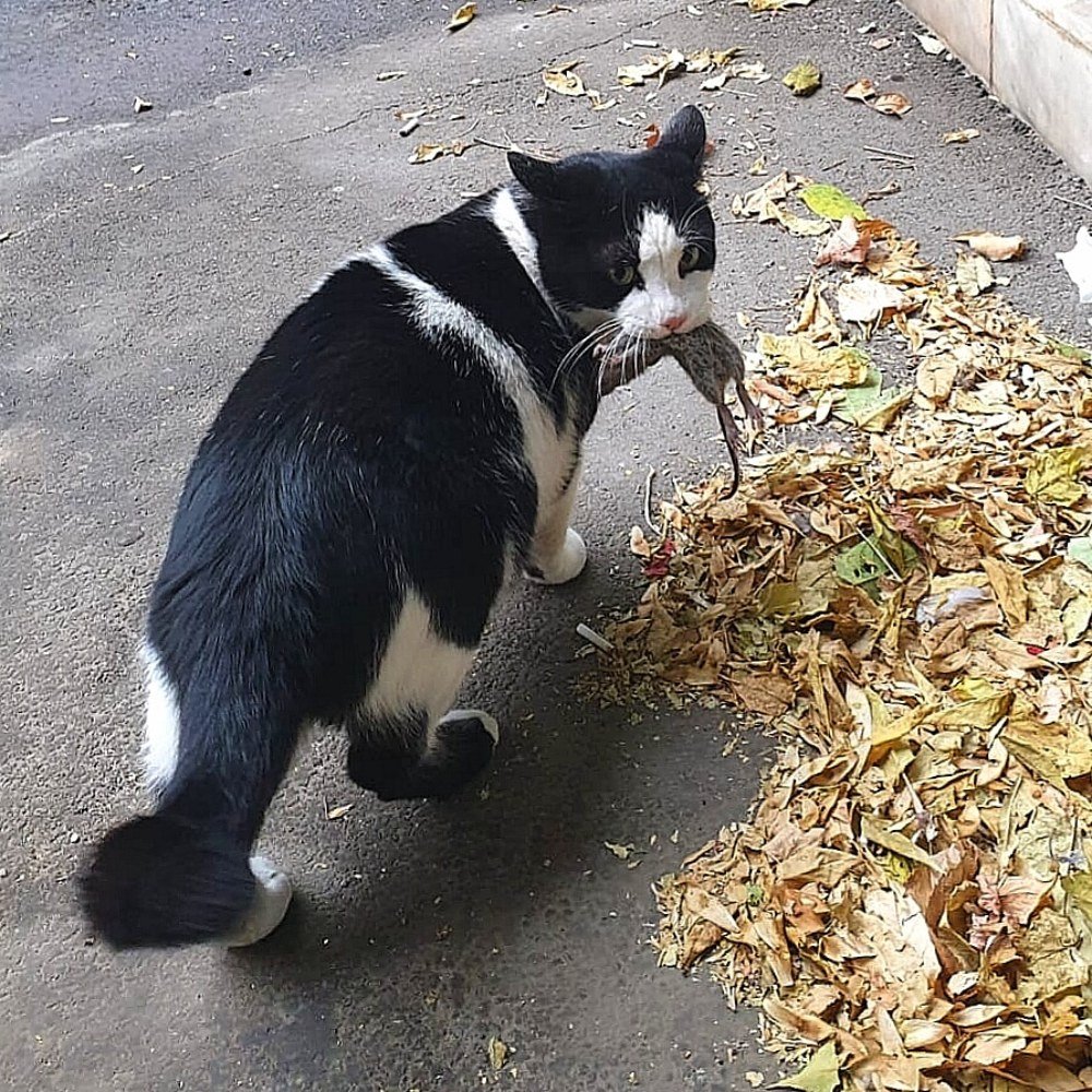 Photograph by Alexandru Octavian