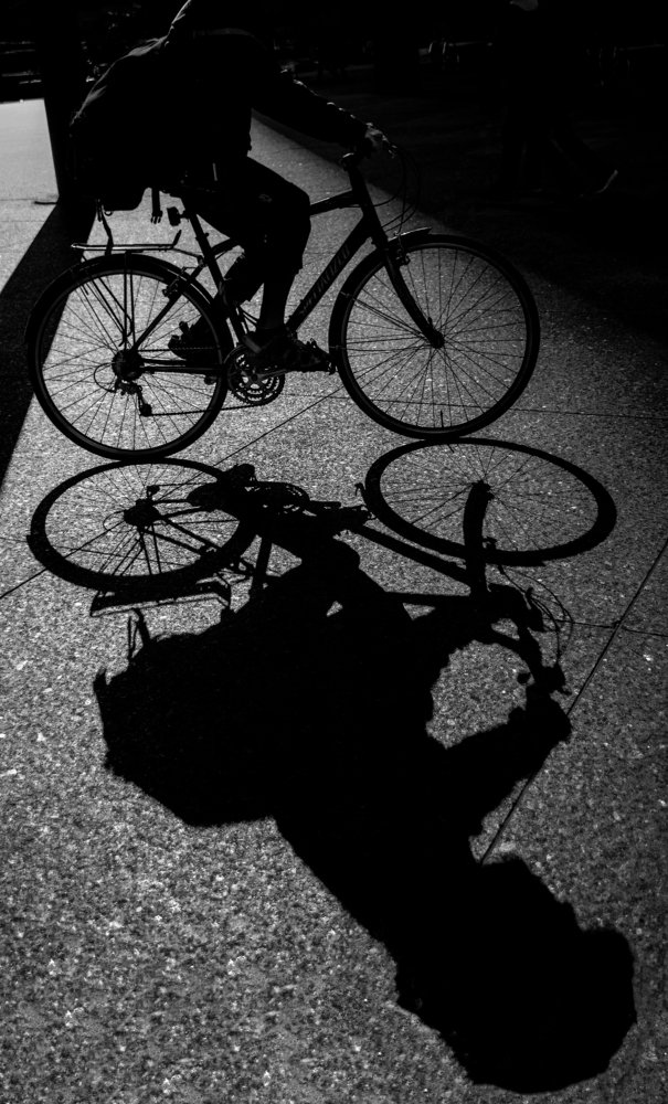 Photograph by Koel Das