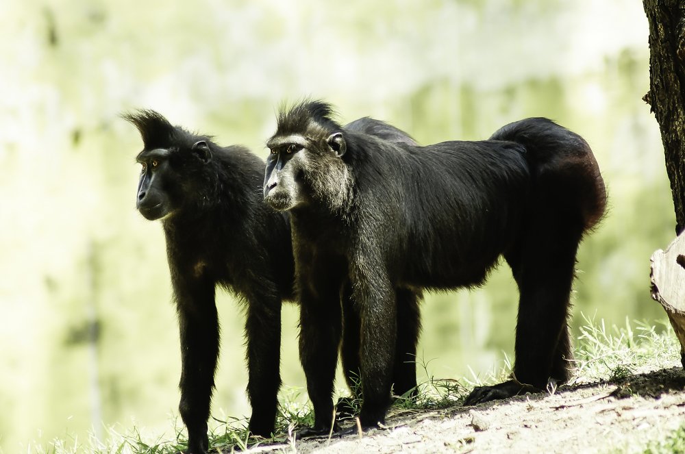 Photograph by Eri Yulianto