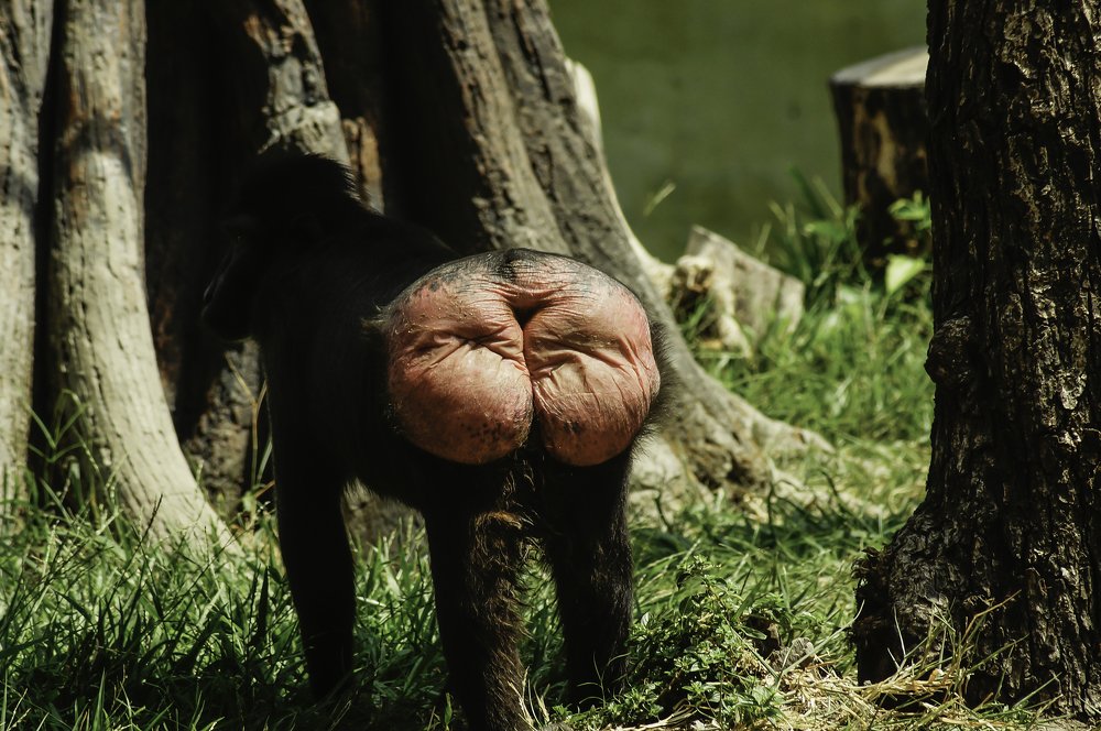 Photograph by Eri Yulianto