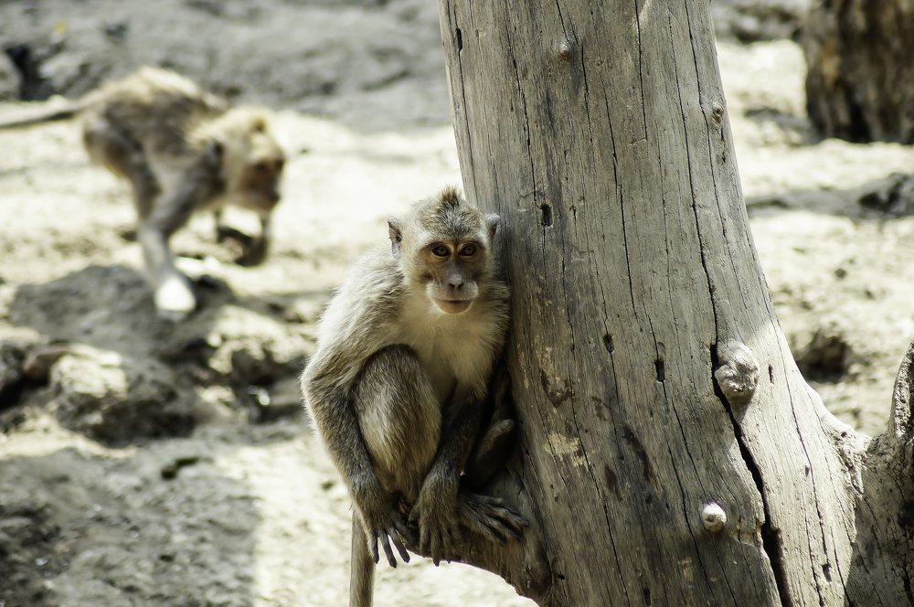 Photograph by Eri Yulianto