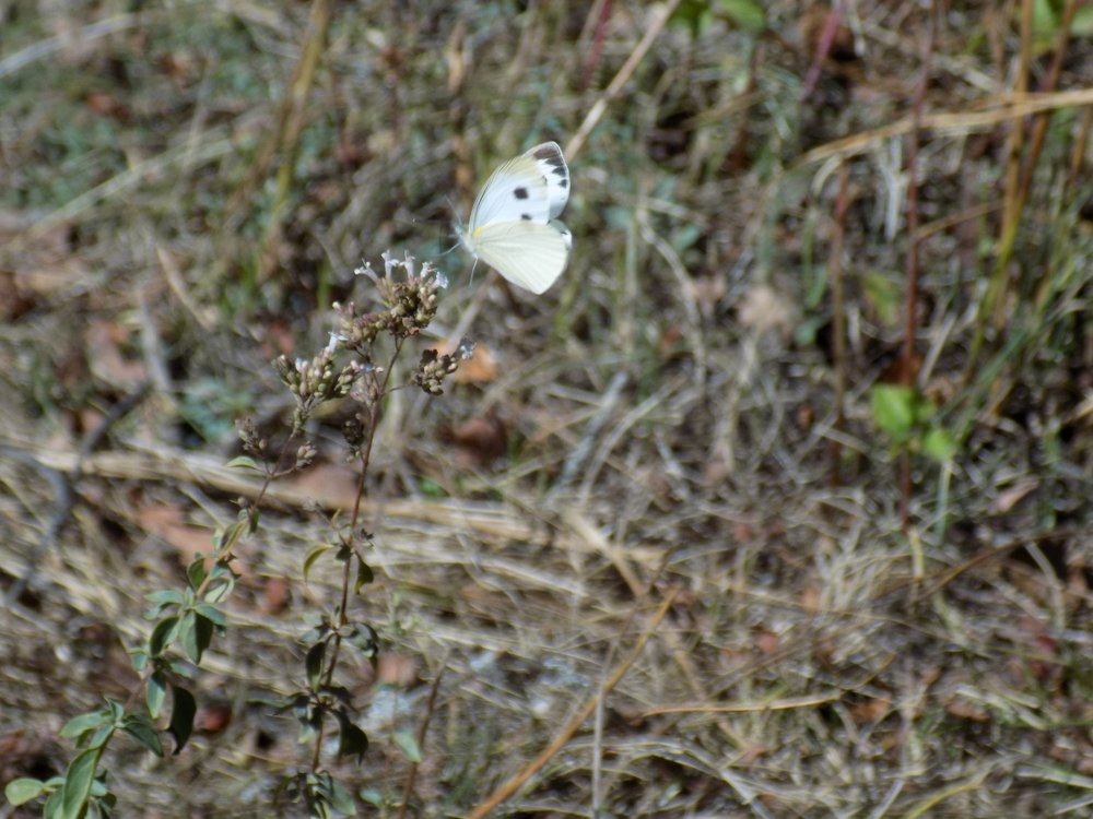 Photograph by Марина Белькова