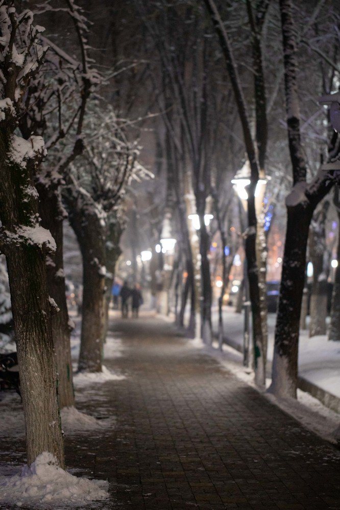 Photograph by Mikhail Azarenkov