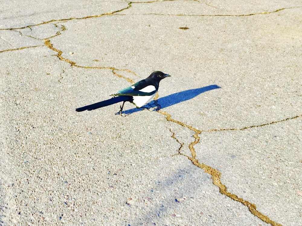 Photograph by Елена Ким