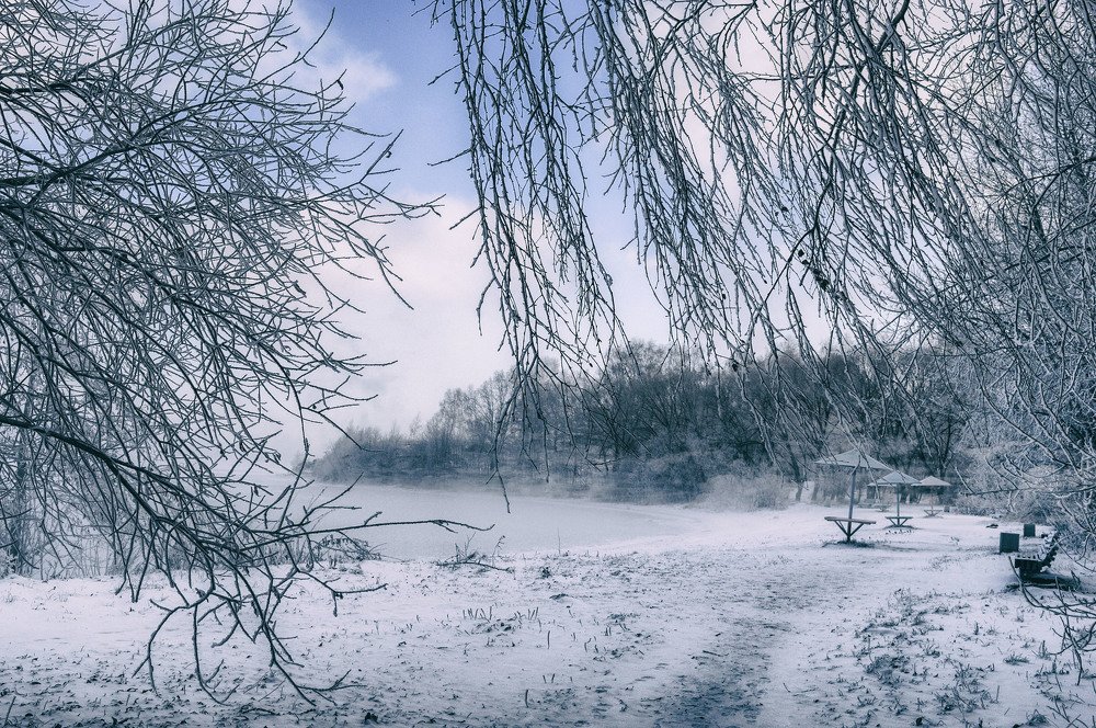 Утро первого льда