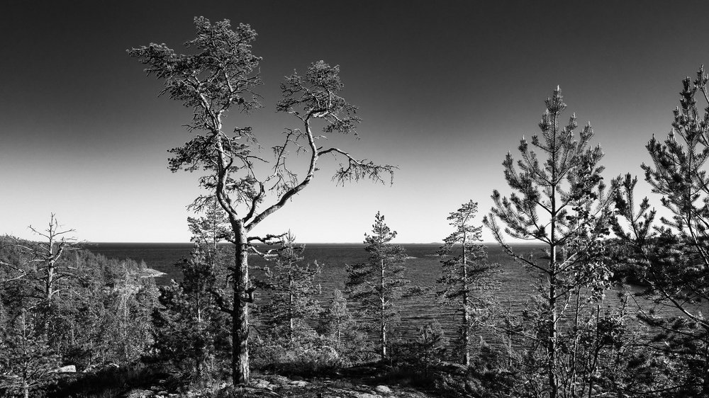 Photograph by Евгений Перминов