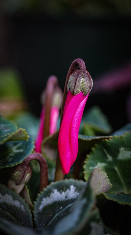 Photograph by jayson gabutan