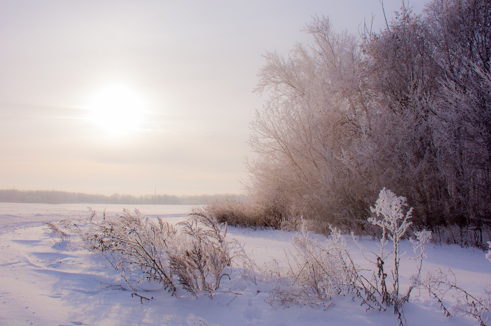 Photograph by Михаил Магид