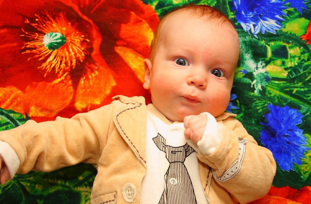 Photograph by Александр Большаков