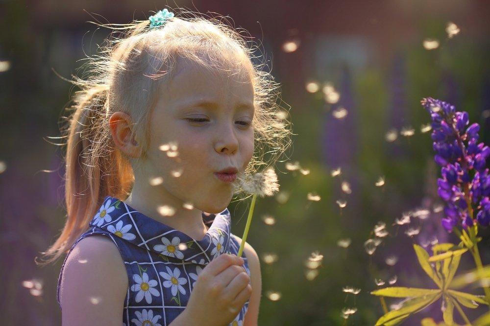 Photograph by Александр Большаков