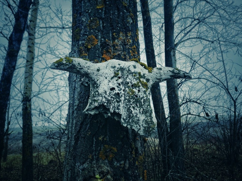 Photograph by ALEKSEI BABANIN