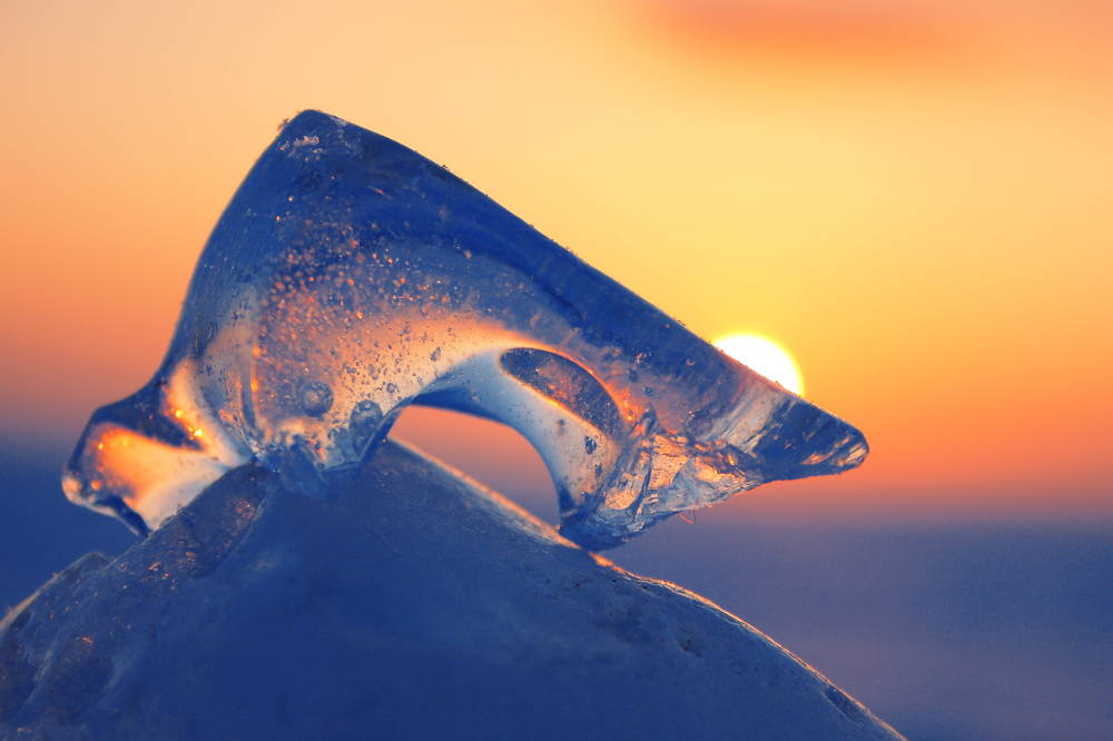 Photograph by Александр Большаков