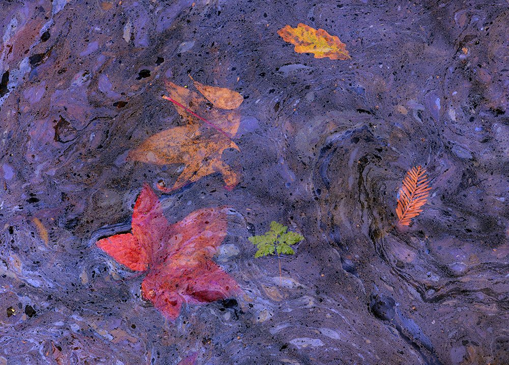 Photograph by César Llaneza Rodríguez