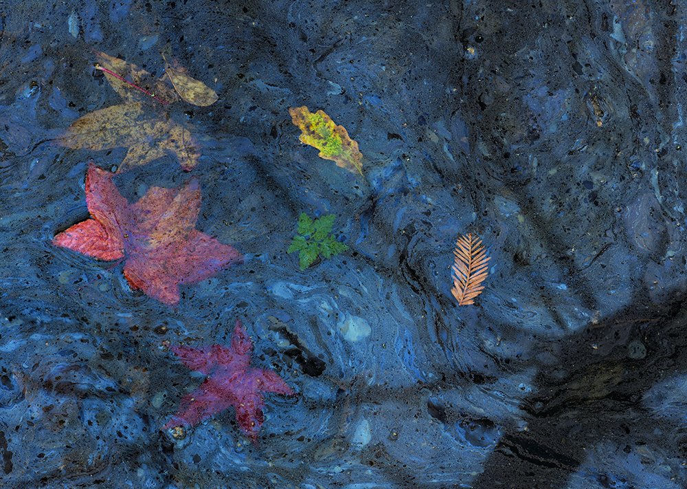 Photograph by César Llaneza Rodríguez