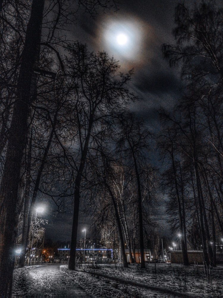 Photograph by Андрей Лежнин