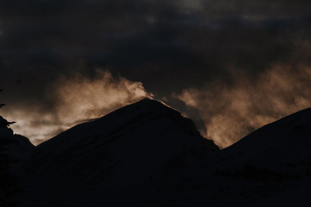 Photo #4032499
